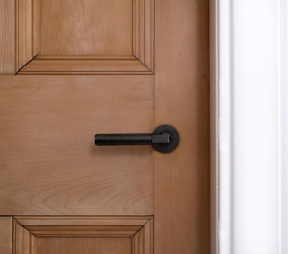 Matt black lever handle on a timber door