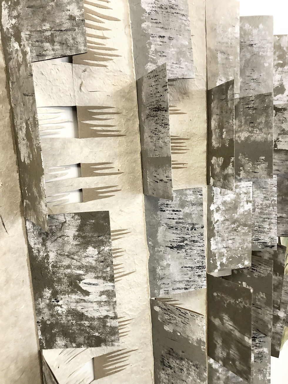 浮森游識冥合境 • Becoming Forest XV