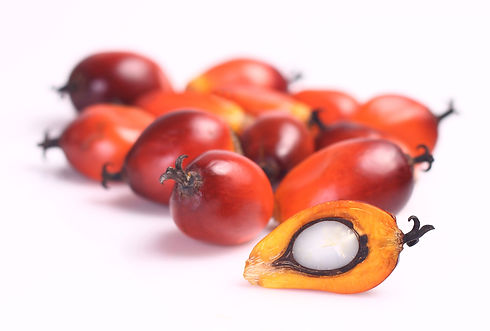 shutterstock_155202998.jpg