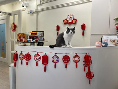 CNY Soda manning Reception
