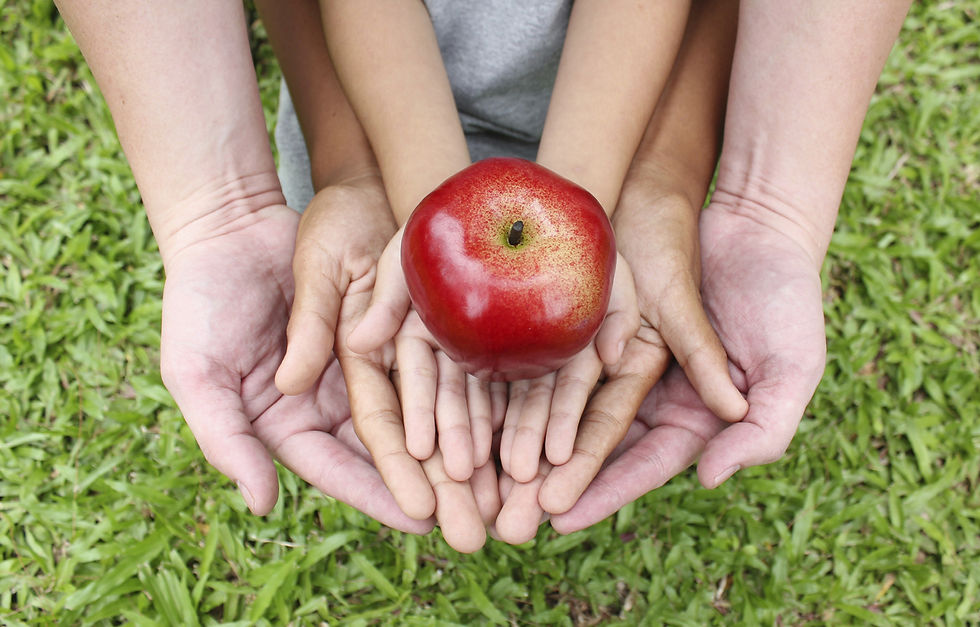 Consumer Trust Food Safety