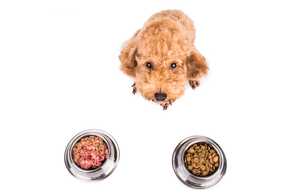 Raw pet food - FDA Regulation