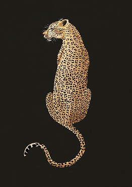 A2 leopard border_edited.jpg