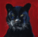 panther.jpg
