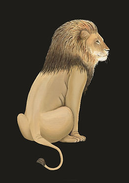 A3 lion_edited.jpg