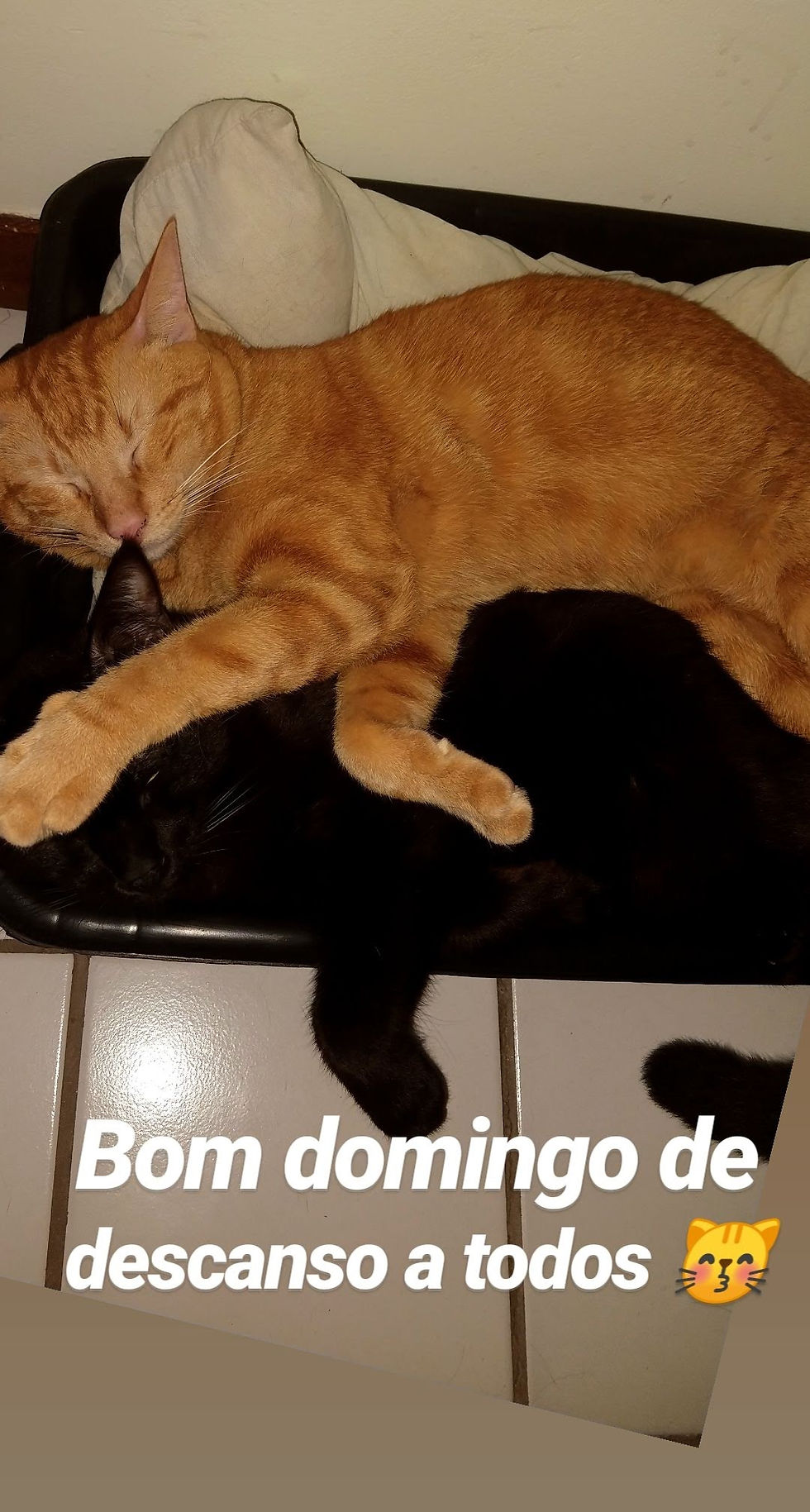 Ragnar e Pretuchio