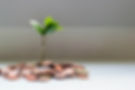 MEDZO Consultoria Financeira - O que Ă© o Pronampe