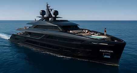 MY PANTHER_bb656__lg.jpg