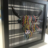 Heilan' Coo