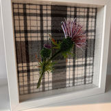 Thistle box frame
