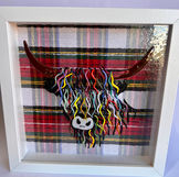 Heila' coo on tartan
