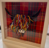 Heilan' Coo