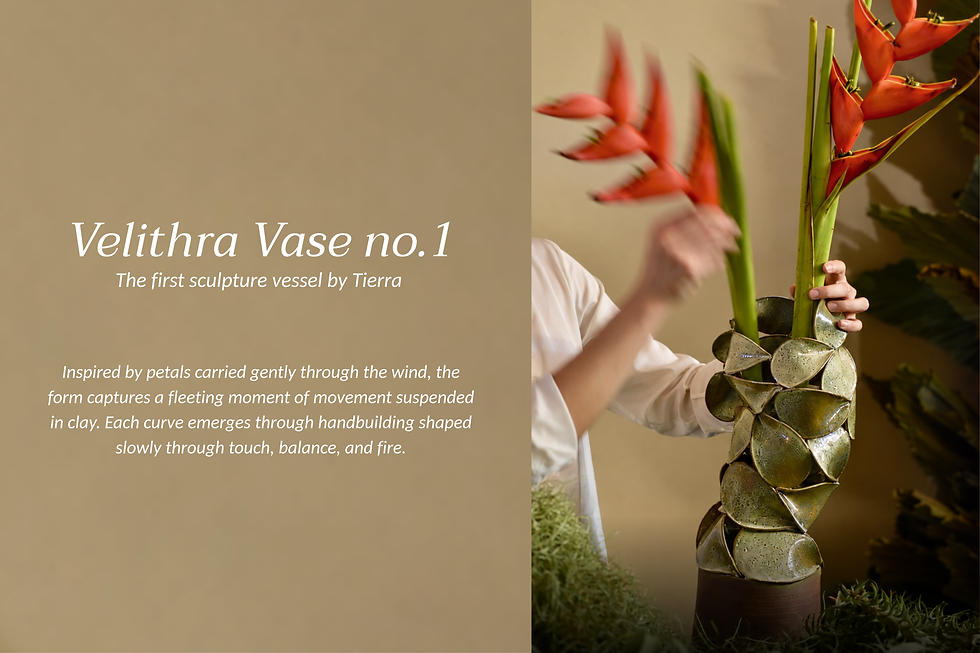 The first sculpture vessel by Tierra.png