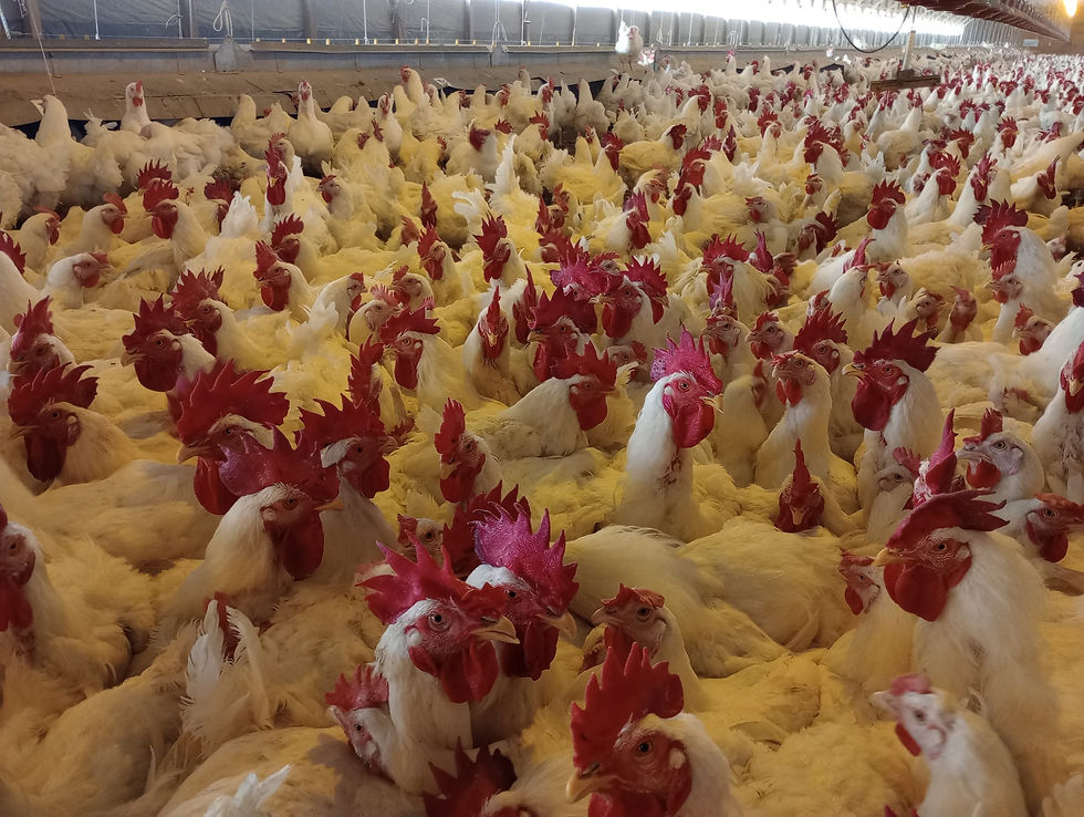 WhatsApp Image 2024-01-05 at 5.58.26 PM