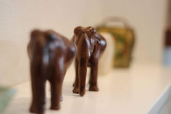 Family of elephants