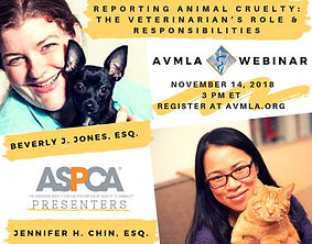 AVMLA WEBINAR Nov 14, 2018 AVMLA.org .jp