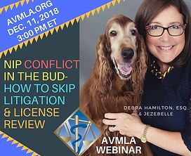 DHamiltonAVMLAWebinar18.jpg