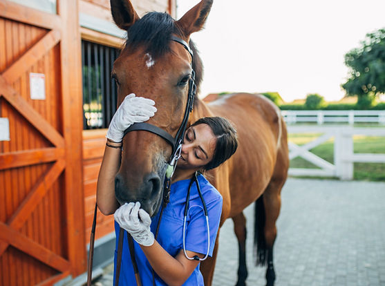 A first responder with her therapy horse in our Horses for Heroes workshop.