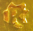 NARC-42DA4F