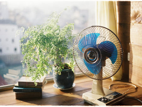 Vintage desk fan and a plant on a table top by a window