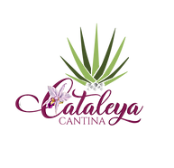 c.png