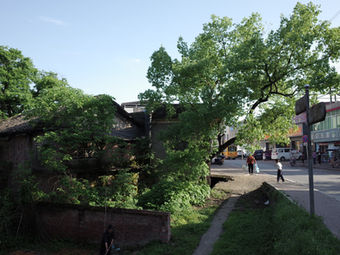 R0000806