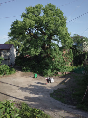 R0000802