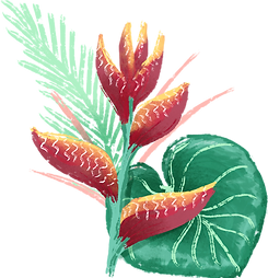 Tropical%20Flower%20_edited.png