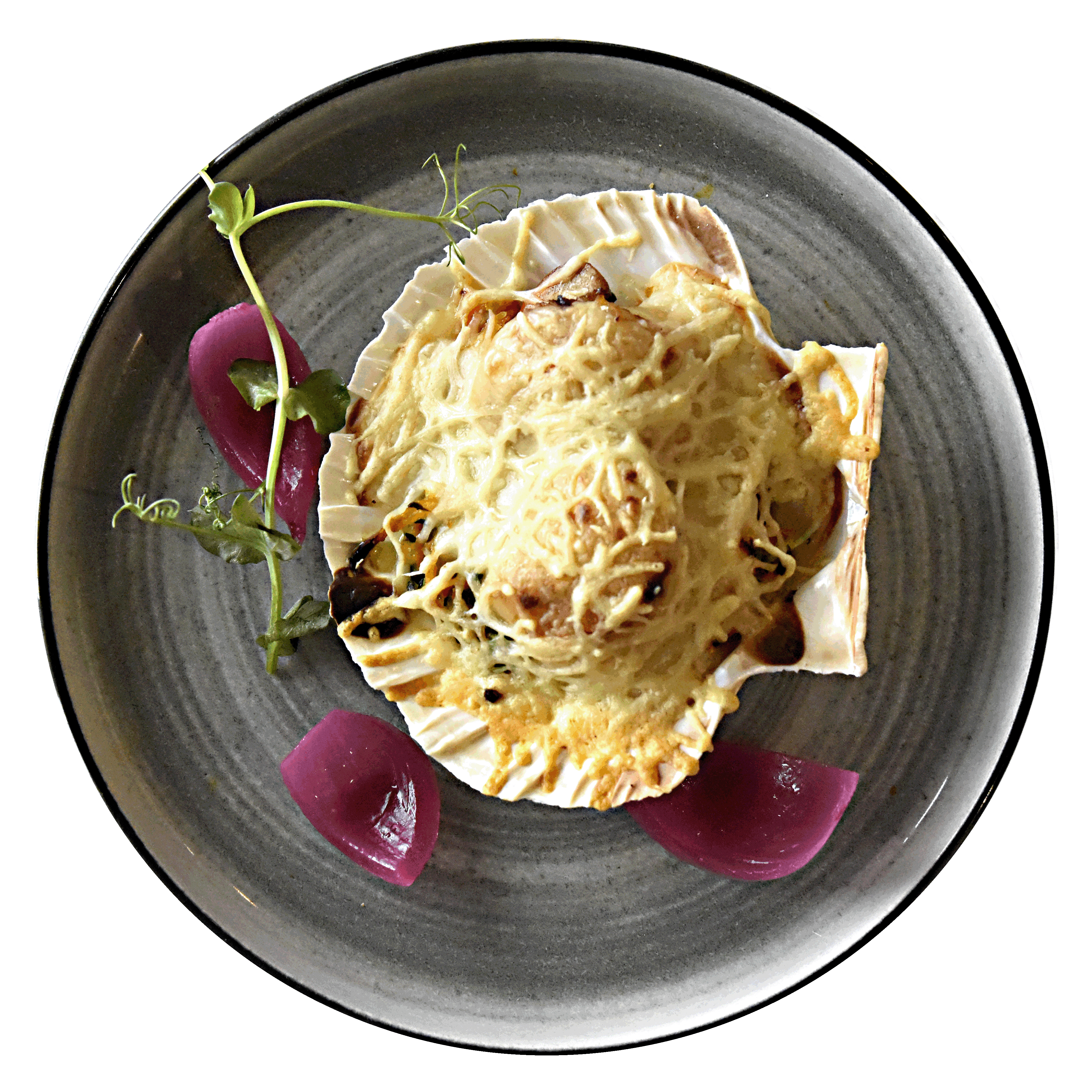 Coquille st jacques