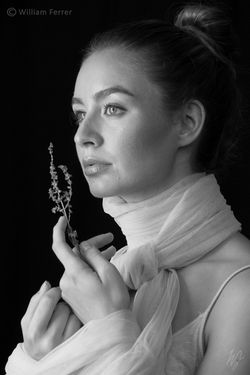 DSC05949