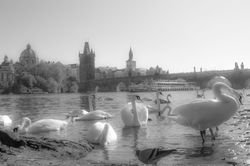 DSC00090_2