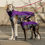 Miniaturbild: Outdoor Top Extreme Violett/Grau