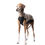 Miniaturbild: Outdoor Jumper Beige