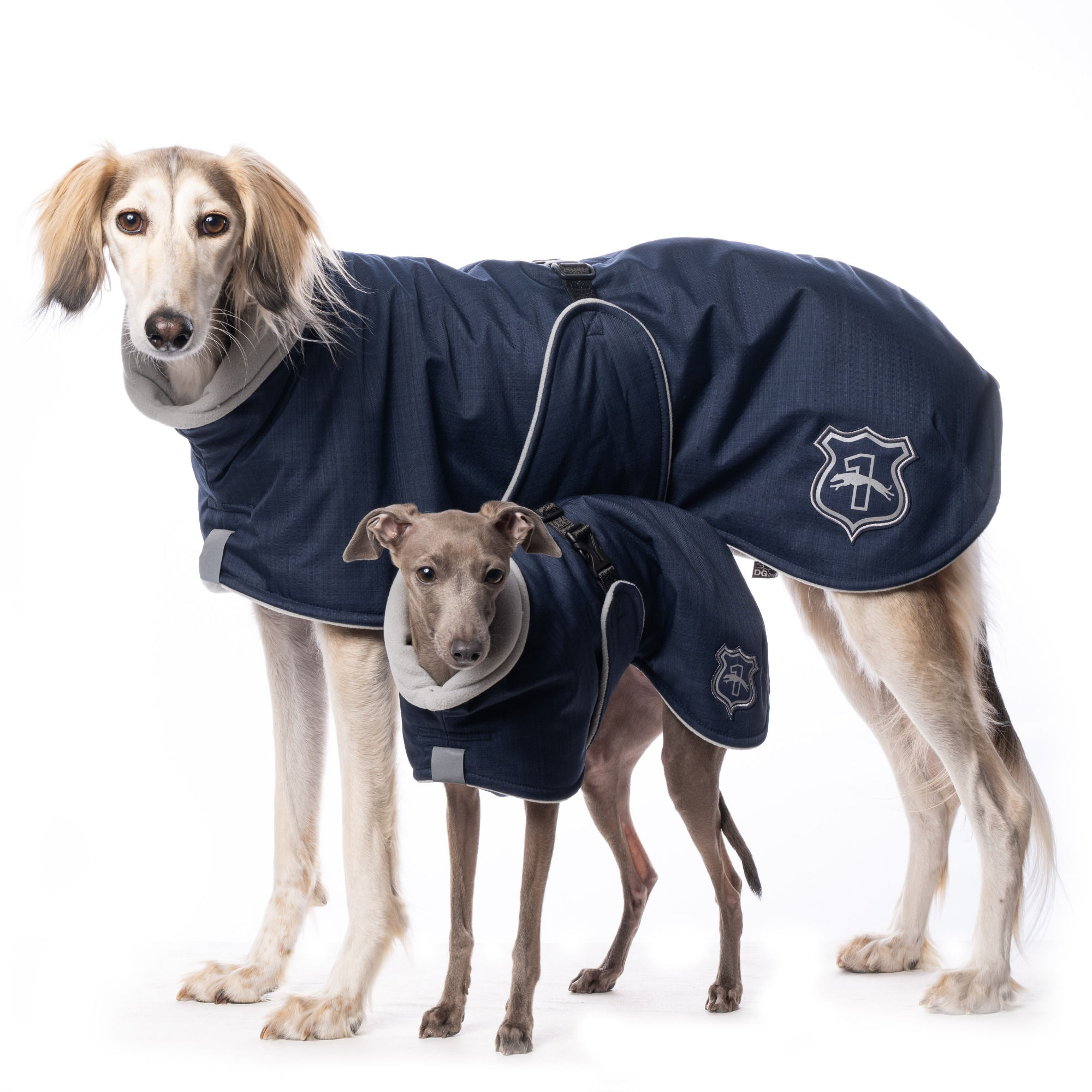 Winterjacke Basic Plus - Blau