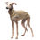 Miniaturbild: Urban Jumper Beige – aus elastischem Tecnostretch-Stoff