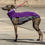 Miniaturbild: Outdoor Top Extreme Violett/Grau