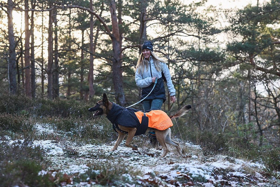 Miniaturbild: Glacier Jacket 2.0