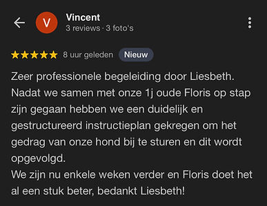 tails up review: hondenschool, pup opvoeden, opvoeding pup