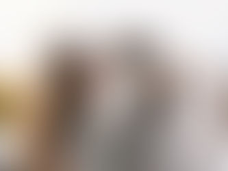 Waarom zou je kiezen voor individuele puppylessen ten opzichte van hondenschool?