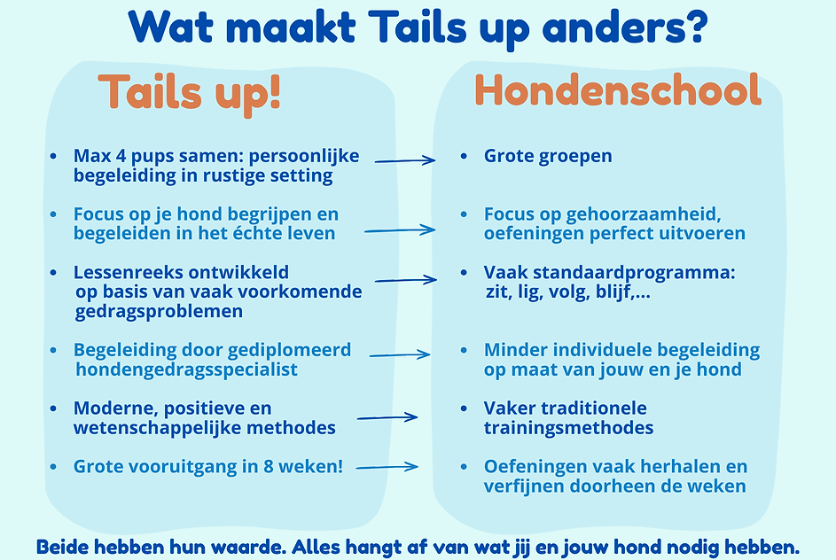 Wat is het verschil tussen tails up & een klassiekere hondenschool-3.png