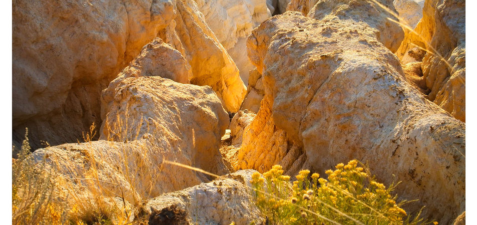 Free Will Photos Website_ 1.jpg