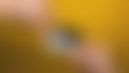 Stu Vergünstigung: auf Boulder-Eintritte und Miet-Kletterfinken