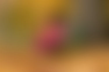 Участь у І (міському) етапі
обласного фестивалю «Гармонія руху»
номінація: художньо-естетичне  спрям