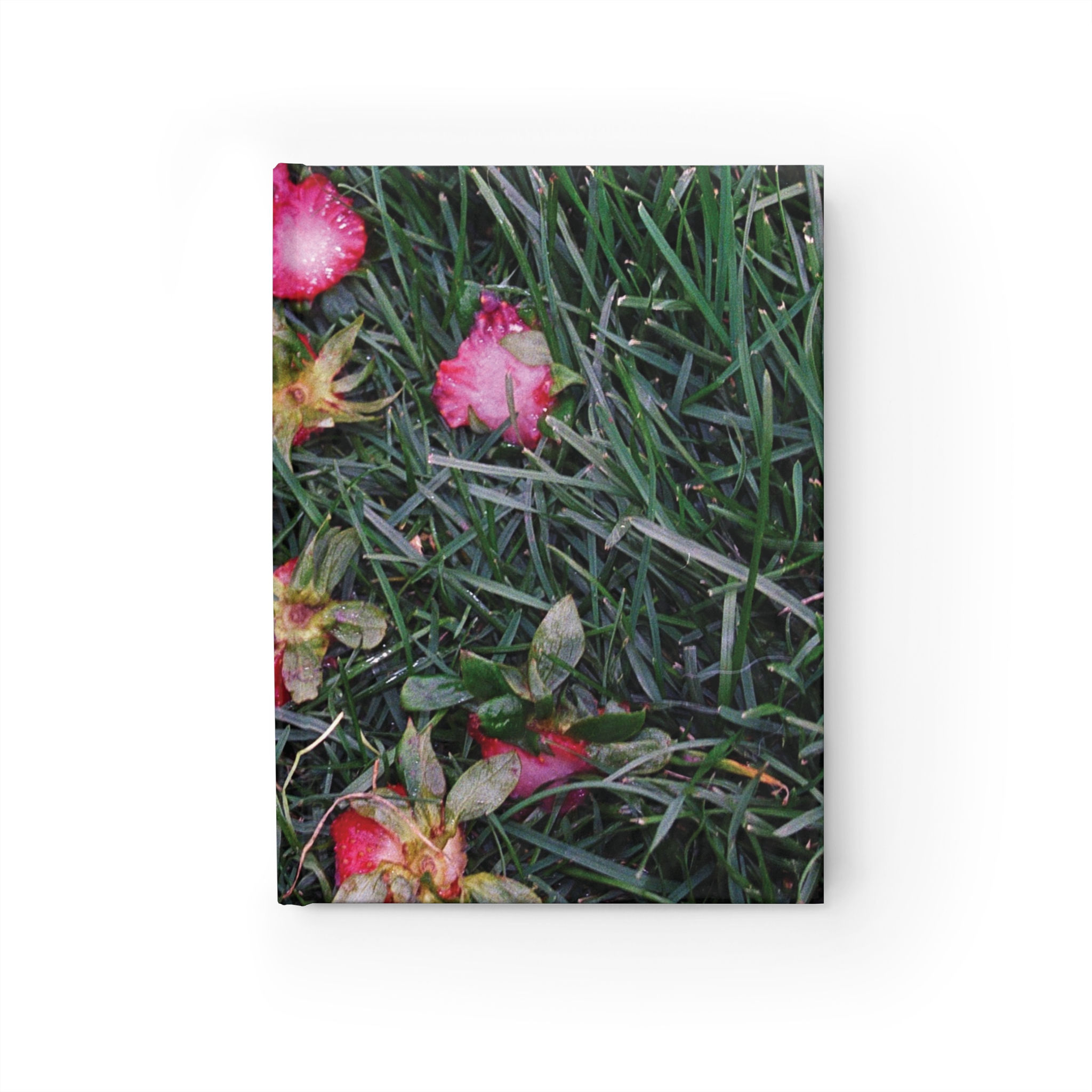 strawberry guts journal