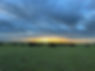 IMG_6438.jpeg