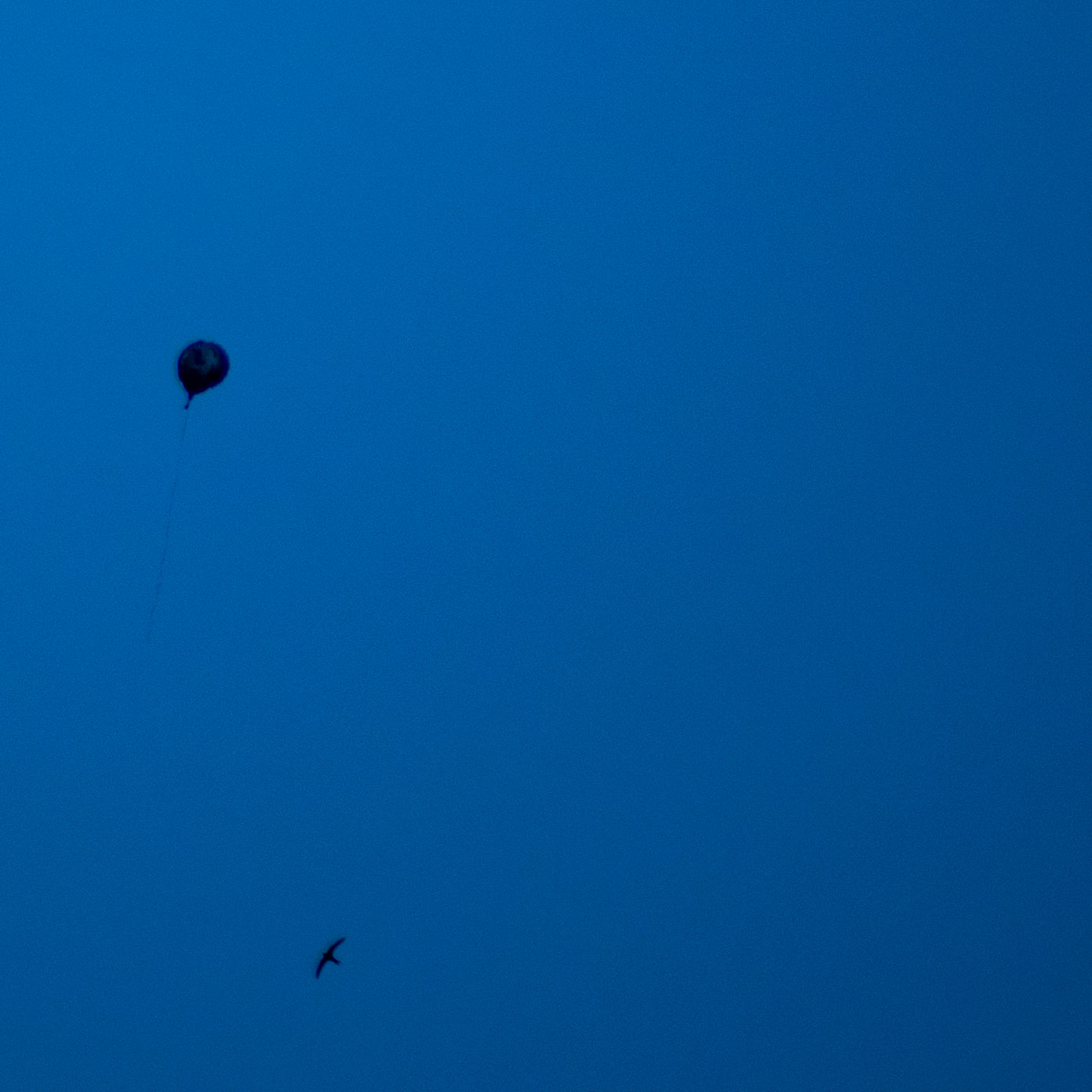 בלון - תמונה ממוסגרת