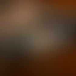 Beschriftung Vereinsbus Schiklub Erl