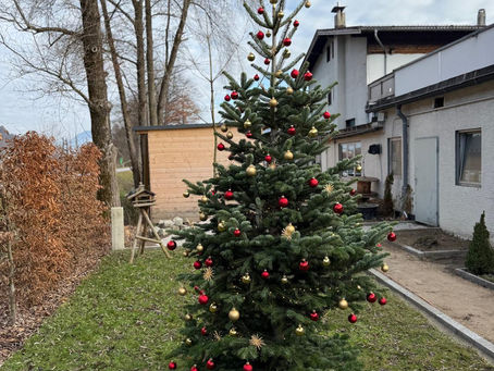 Schöne Weihnachten wünscht euch Jimmys Gartendesign.