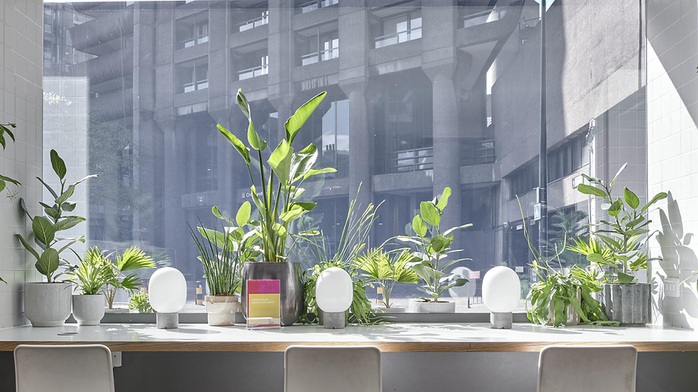 Bright office space with large window, green plants on a white desk, modern lamps, and urban building view outside. Calm atmosphere.