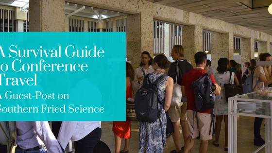 A Survival Guide to Conference Travel
